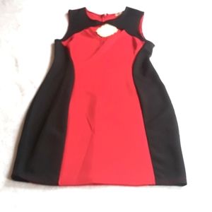 NWT Ace Fashion Large Dinner Dress